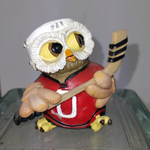 Gufetto giocatore hockey